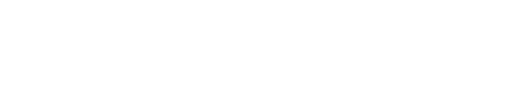 the expert consultation e1773335436372